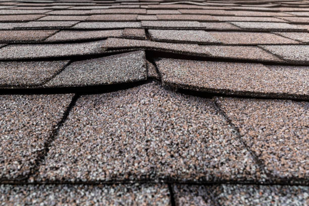 Elevate Your Home: Essential Tips for Roof Replacement